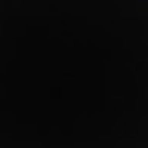 Meet your Posher, Shirley